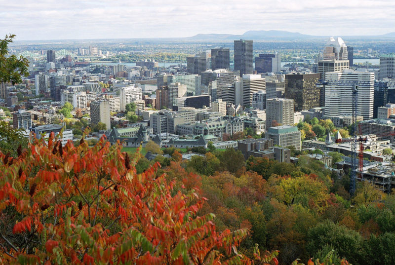 Mont-Royal [1988– ]