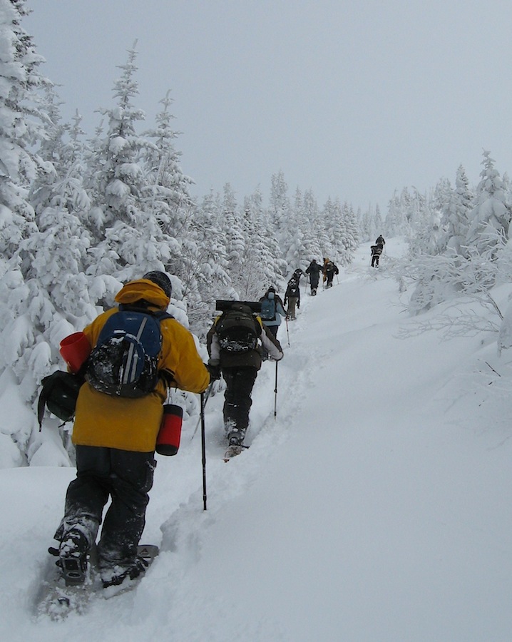 Raquette à neige — Wikipédia