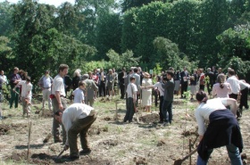 Planting the Canadian grove, J. Cottin