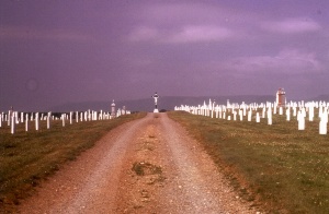 Central alley of Saint-Pierre cemetery in Chéticamp. Photo D. Trask © S. Ross