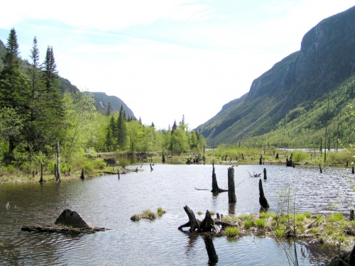 Rivière Mabaie, which closely resembles the Rivière Noire [Black River] depicted by F.-A. Savard in Menaud, Maître-draveur © Steve Fraser