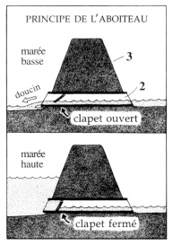 Principe de l'aboiteau