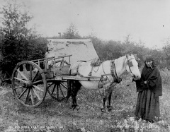 Femme autochtone de la Rivière Rouge