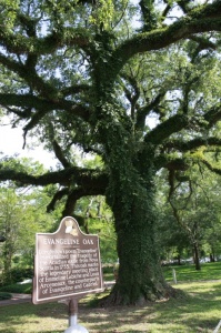 According to a St. Martinville legend, Emmeline Labiche and her fiancé Louis Arsenaux-who locals say are the de facto couple who inspired Henry Wadsworth Longfellow's famous poem Evangeline-were reunited beneath this oak tree after having been separated in Nova Scotia. 