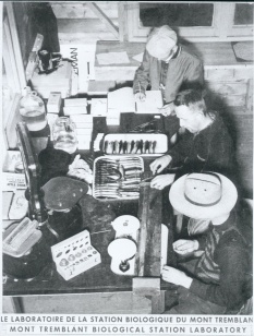 Laboratory at the Station Biologique du Mont-Tremblant. Photo: Albert Courtemanche