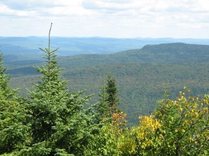 Vue du sommet du Carcan, dans le Parc national du Mont-Tremblant