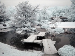 The Japanese Garden beneath a dusting of snow