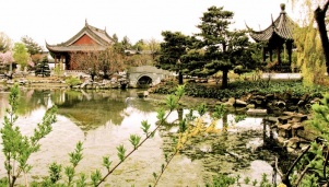 Le jardin japonais