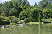 L'étang situé au coeur du Jardin botanique