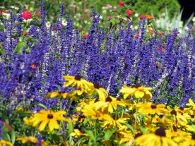 Flower display