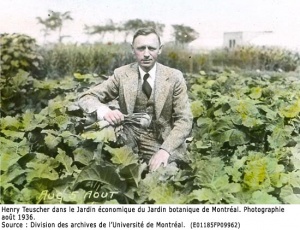 Henry Teuscher in the Economic Garden at the Montreal Botanical Garden, August 5, 1936