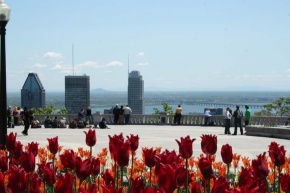 Kondiaronk Lookout, 2008