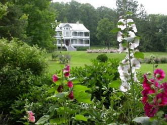 Manoir et son parterre de roses trémières