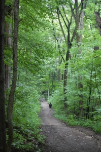 Sentier  patrimonial, colline du Calvaire