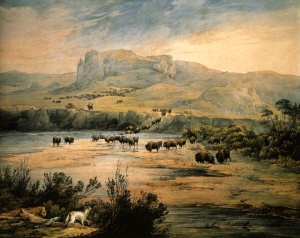 Upper Missouri landscape