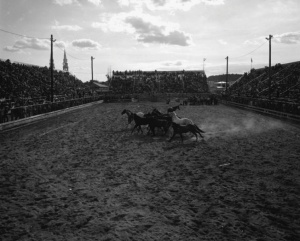 Rodéo au Festival western de Saint-Tite, 1973