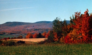 Récolte d'automne à Saint-Pierre, île d'Orléans. © Martin Fournier.