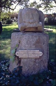 Dog gnawing on a bone, Pézenas, France