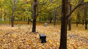 Jardin de l'abbaye cistercienne de Rougemont: les bancs incitent à la contemplation de la nature