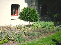 A Garden Symbolising Theological Virtues