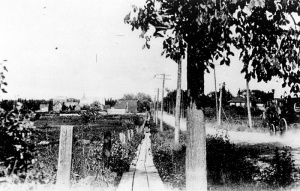 Le chemin Montréal à Eastview (aujourd'hui quartier Vanier, à Ottawa) vers 1900