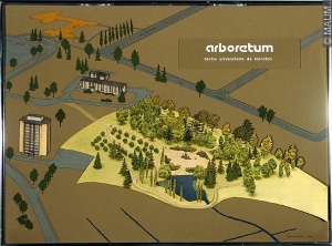 Plan de l'Arboretum, Université de Moncton, 1981