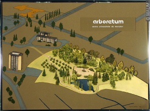 Drawing of the Arboretum, Université de Moncton, 1981