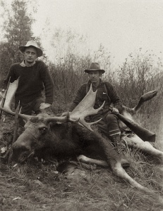 Fructueuse chasse à l'orignal au Saint-Maurice, 1942