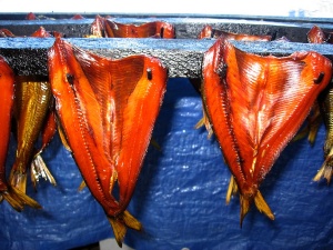 Harengs fumés par la famille Cloutier de façon artisanale, Percé, Gaspésie, 2008