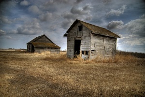 Vieille ferme près de Saint Paul, Alberta, 2008