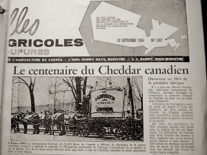 Article de journal célébrant les 100 ans du cheddar canadien, septembre 1964
