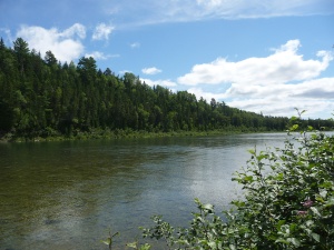 Pêche au saumon sur le secteur B1 de la rivière Bonaventure