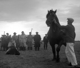 L'Abbé Proulx filmant un cheval de la parade à Hébertville-Station. BAnQ.