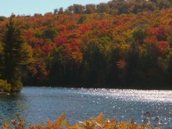 Lac Tremblant woodlands in the autumn, © Fabienne Joliet