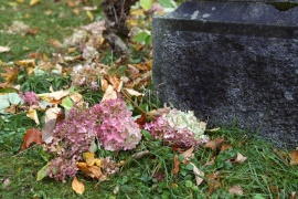 Fleurs au bas d'un monument funéraire, cimetière Notre-Dame-de-Belmont, 2011