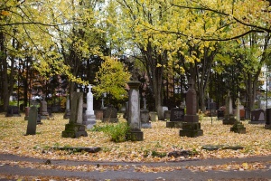 Vue générale d'une portion du cimetière Notre-Dame-de-Belmont, 2011