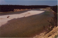 Près de l'embouchure de la rivière Jupiter, 2003. © Geneviève Brisson